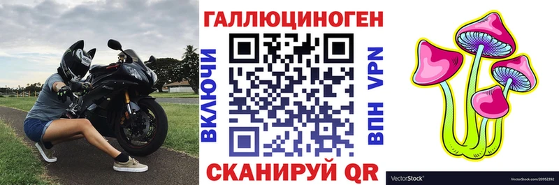 закладки  Александровск  Псилоцибиновые грибы прущие грибы 